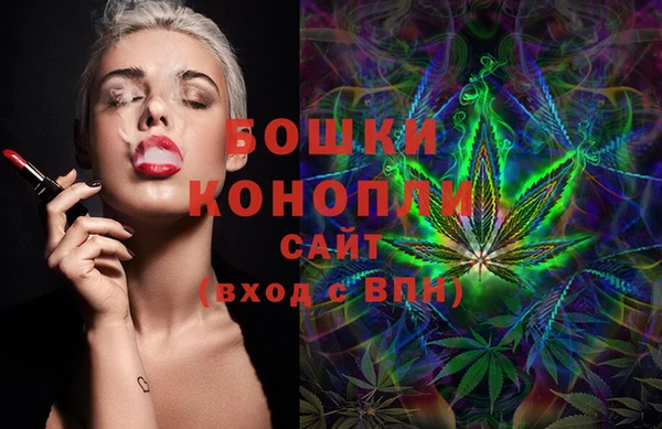 индика Баксан