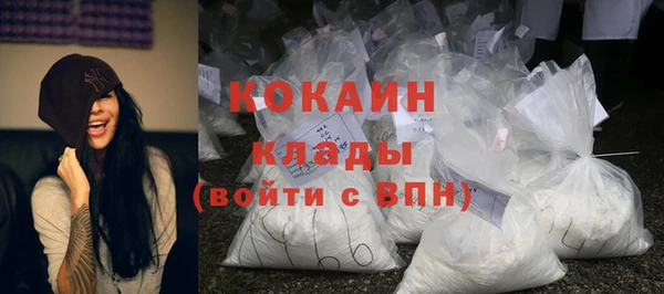 ешки Арсеньев