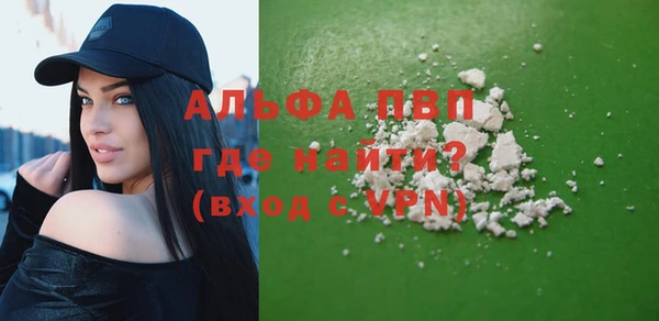 индика Баксан