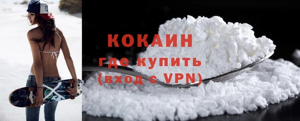 ешки Арсеньев