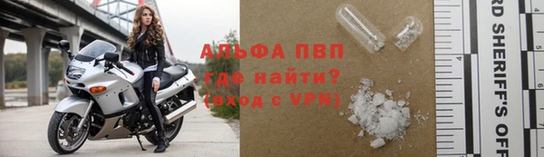 индика Баксан