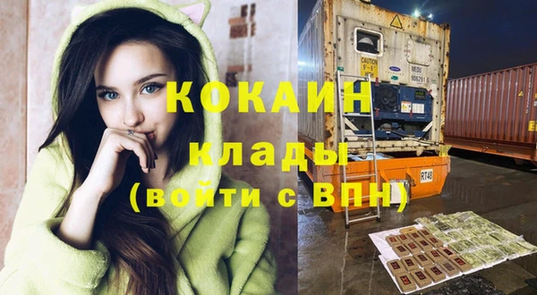 индика Баксан