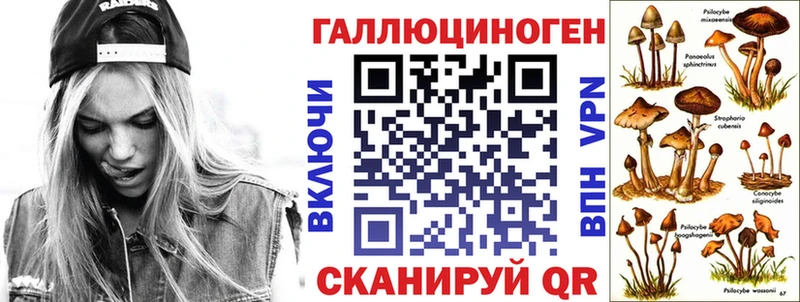 Псилоцибиновые грибы мицелий Пучеж